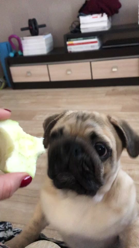 @Изабелла