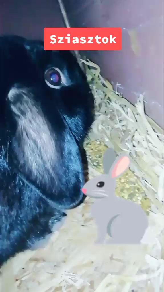 @Szutyok