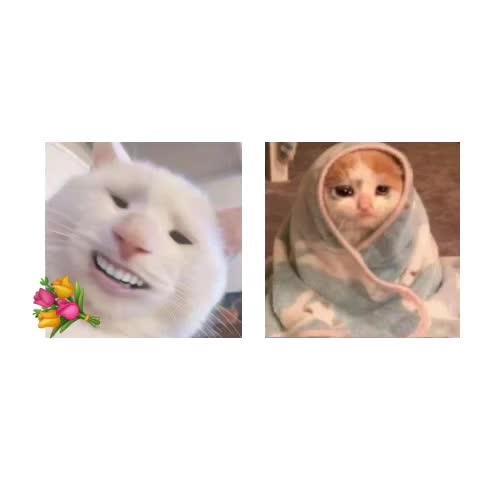@Olopick
