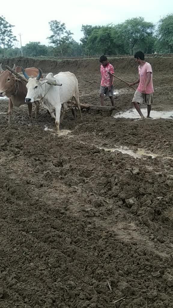 @@Sarkar Gang 786