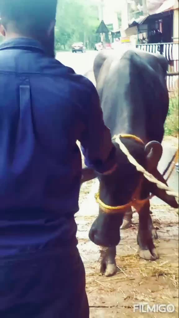 @ഒറ്റയാൻ