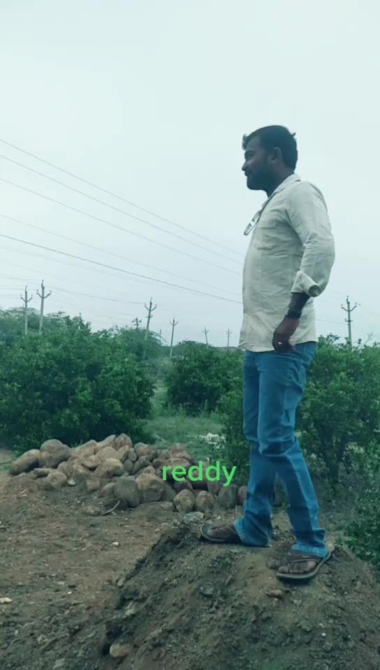 @singam baswan reddy