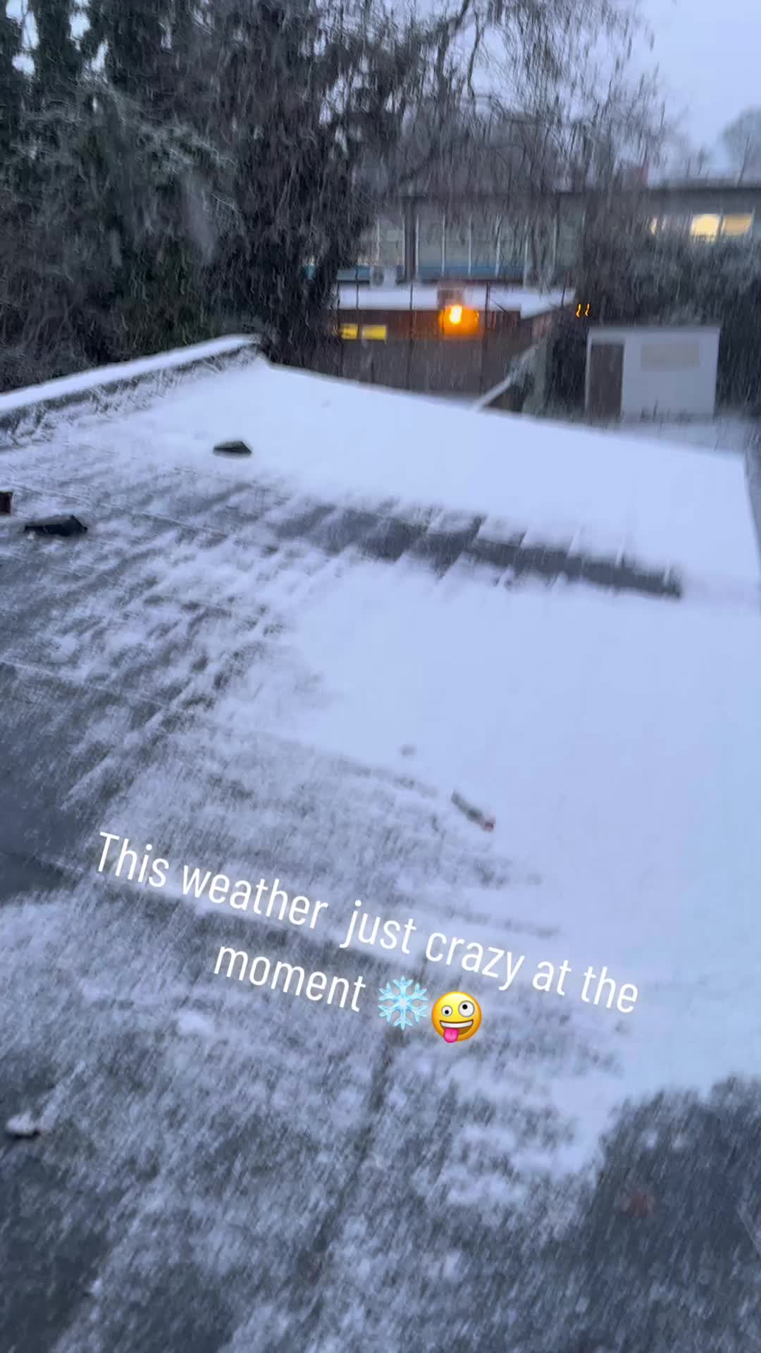 @Guccilad84