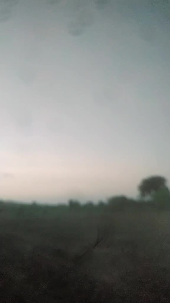 @Sundesha