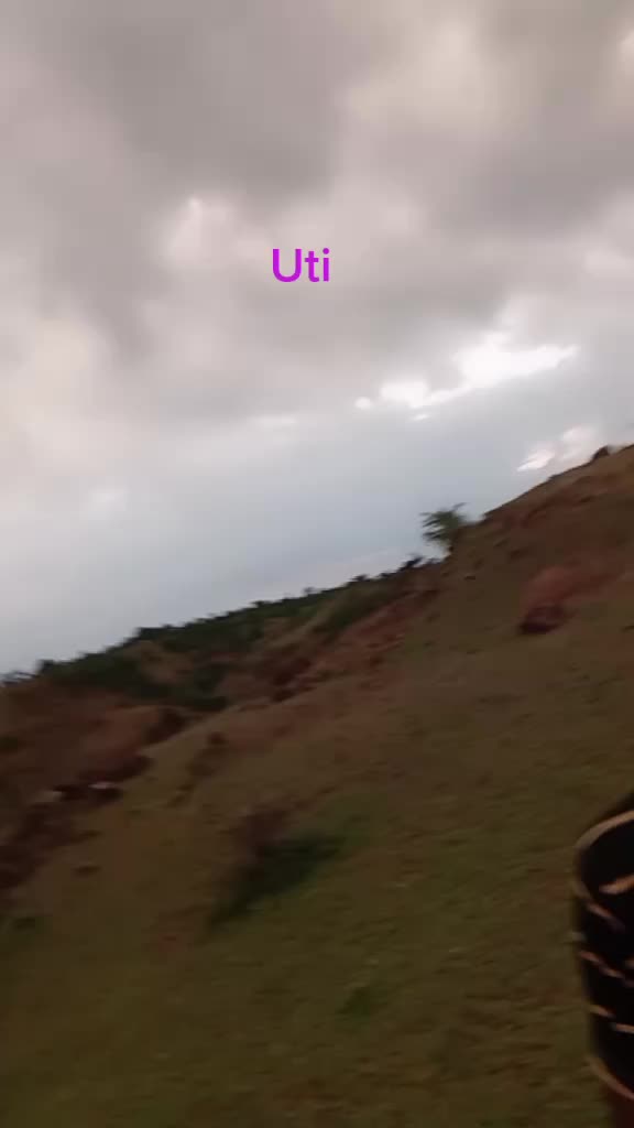 @user6644596750488