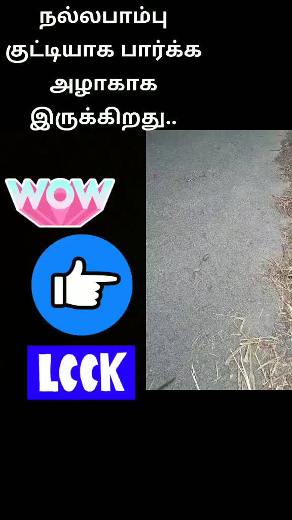 @yohit