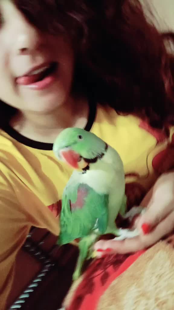 @poojarajput🔥
