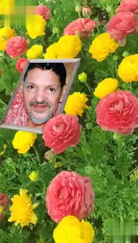 @Mehr kryo SAIJI sbte