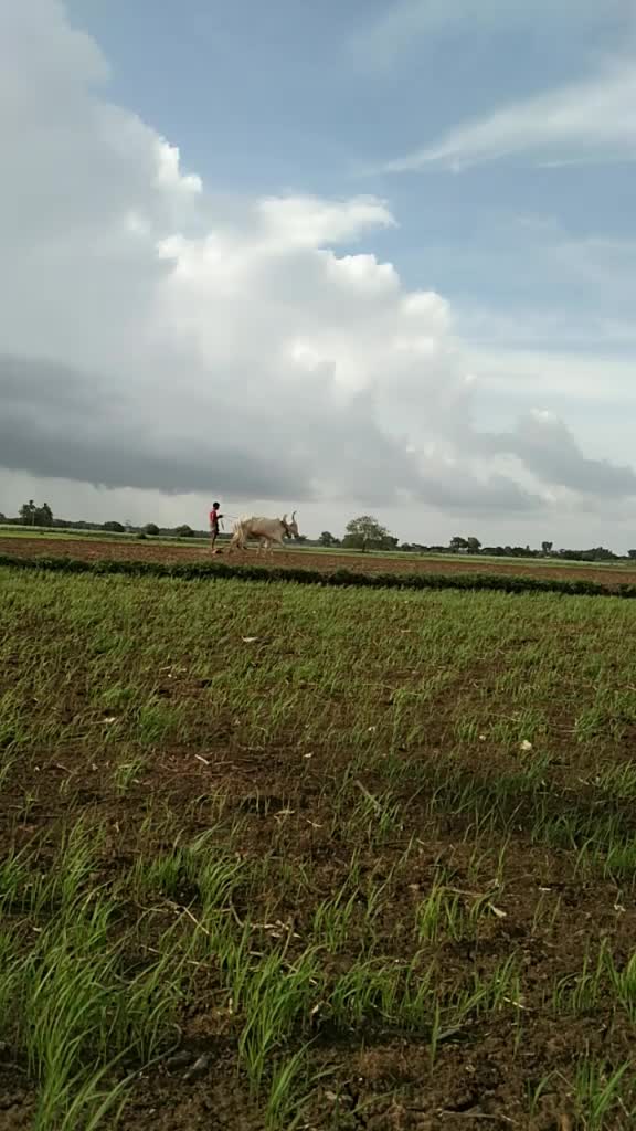 @Raju Salunkhi