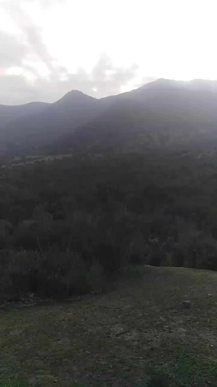 @vfaunreyes