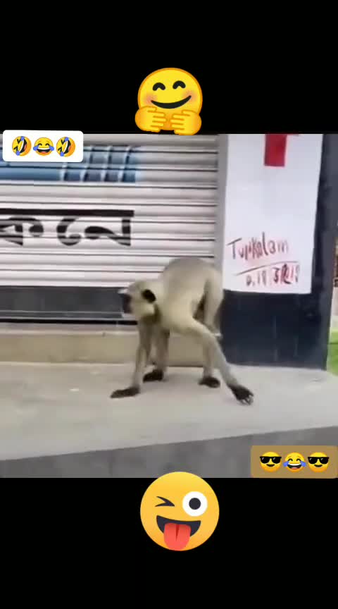 @Raj Datt