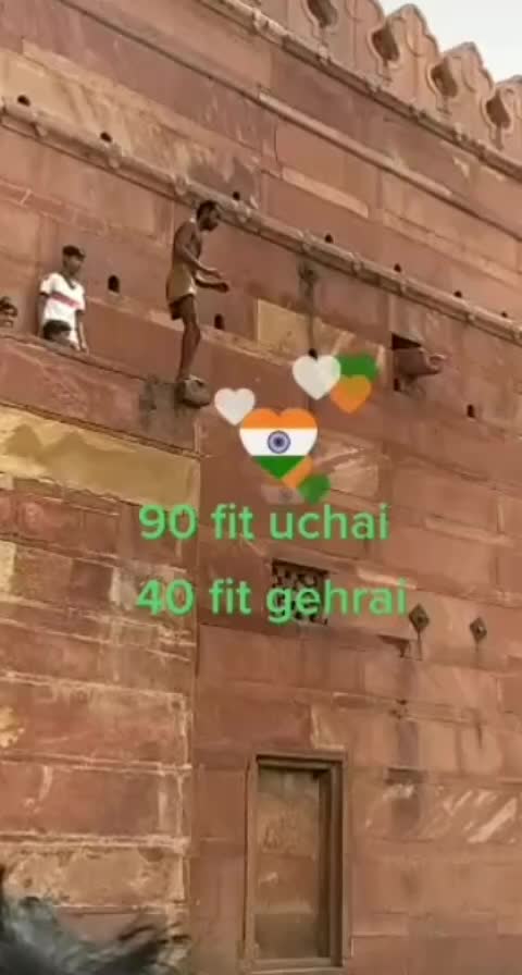@user79165528957