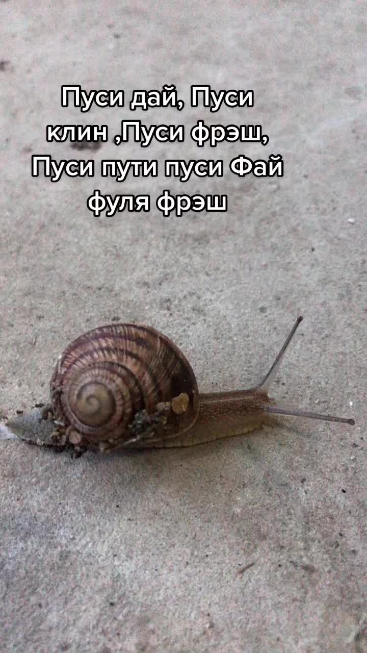 @LIL_yankez.mp3
