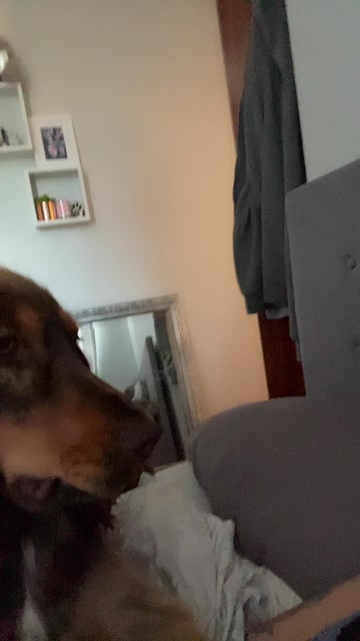 @tilly._.jean