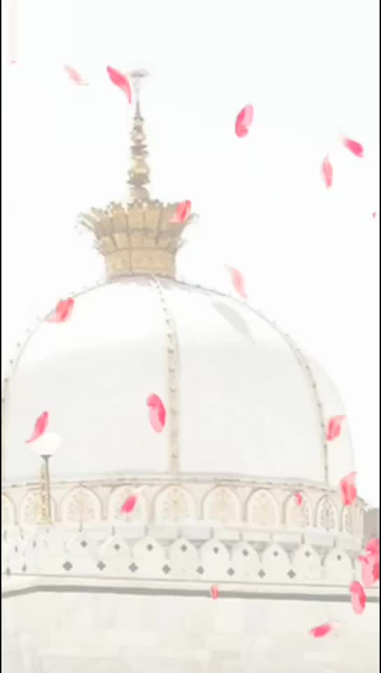 @nabikaashiq