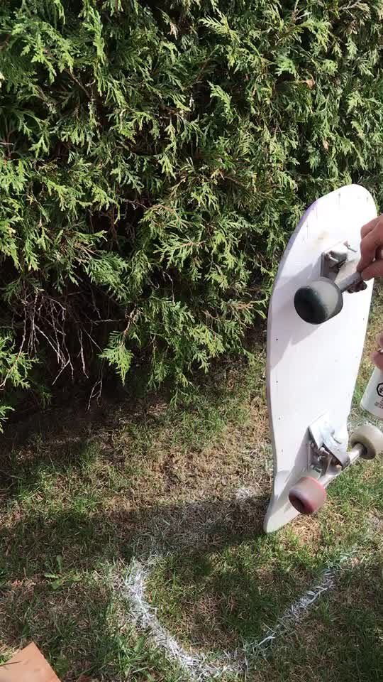 @❤️✨🛹