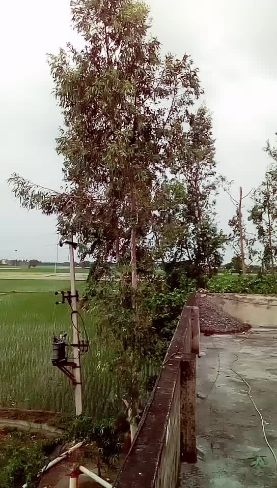 @Satinder 792
