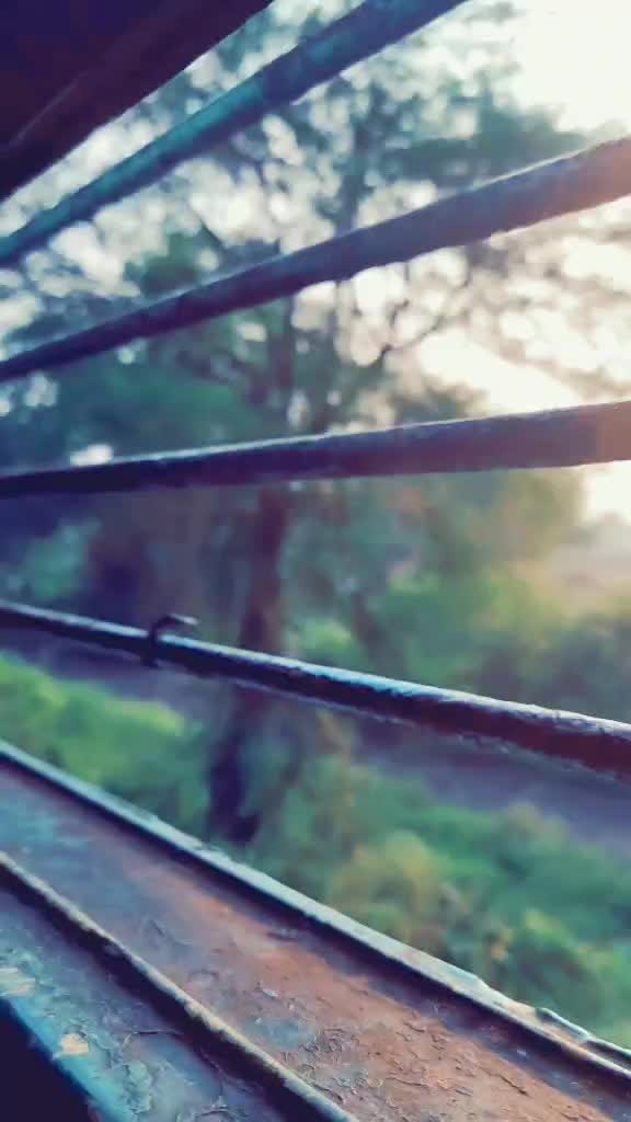 @_ojashvi_soni_0