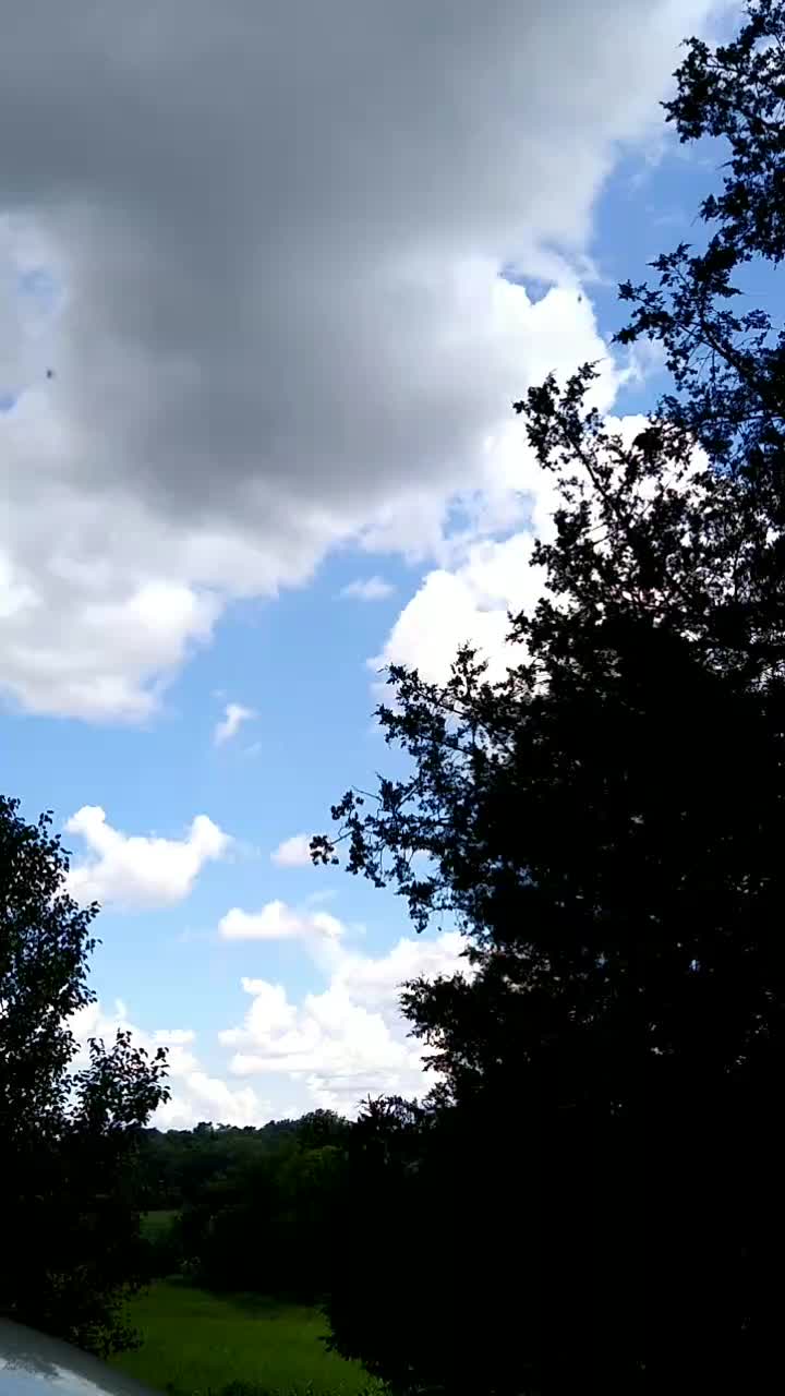 @metsästäjä