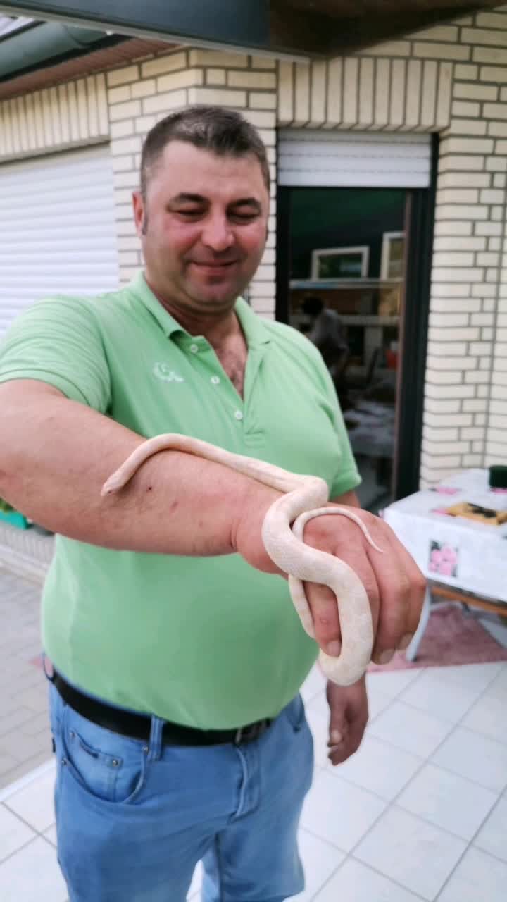 @Ion Ionut