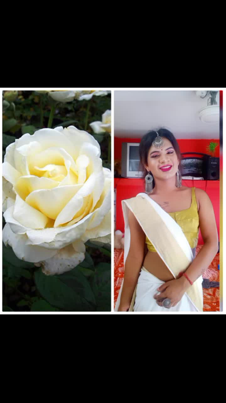 @subhoroy605