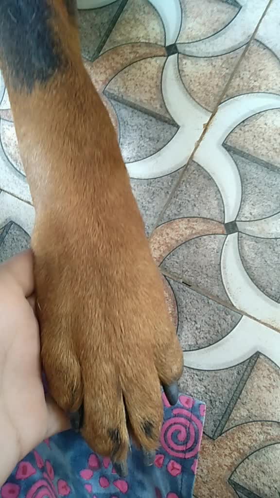 @mona._.0208_