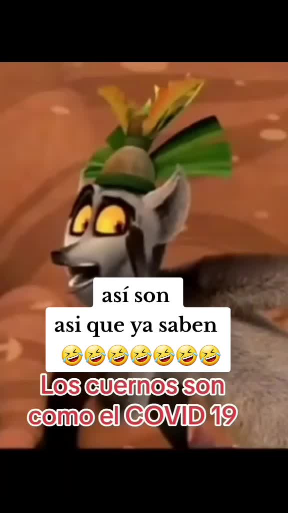 @carito