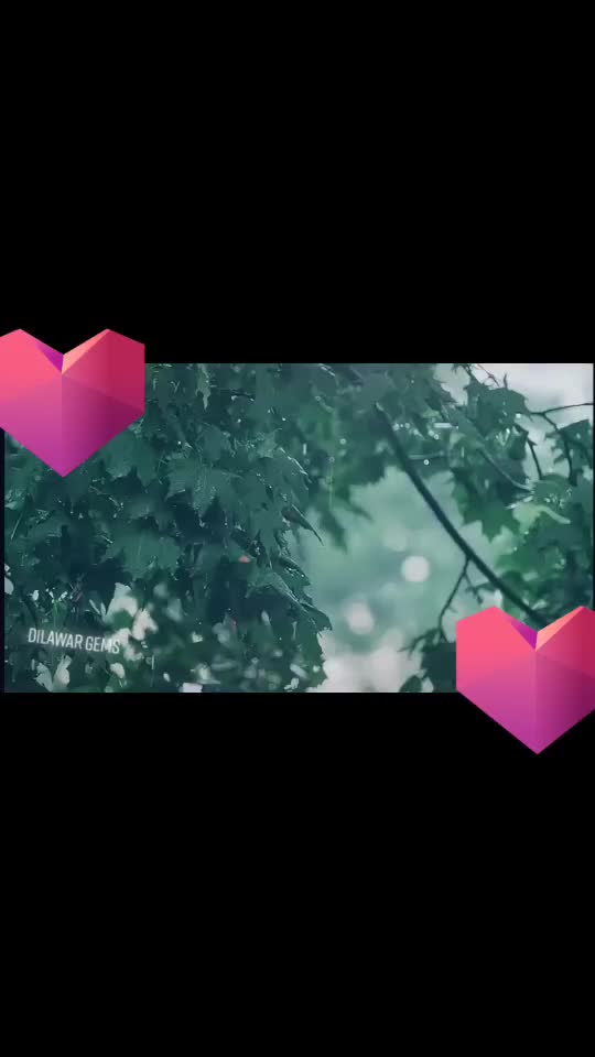 @duak8089