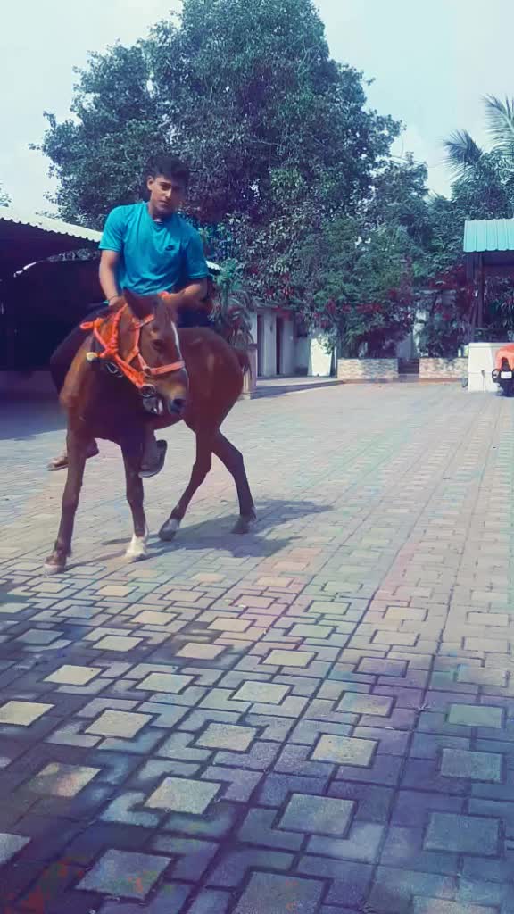@👑OMKAR APPA GORE👑