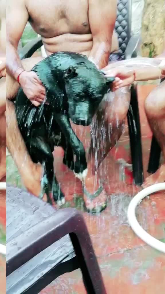 @chetan tajpuria0001