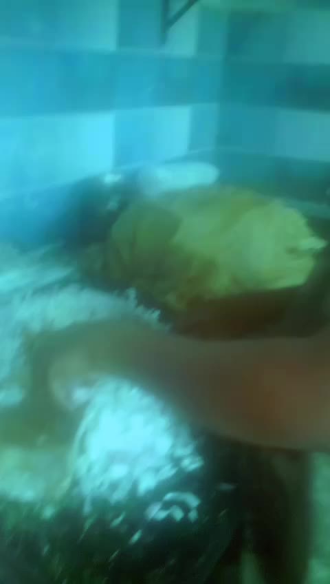@Vasu Sirimilla