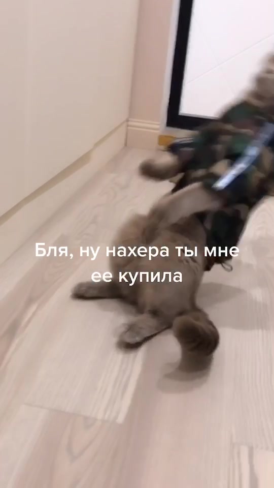 @Дарья Николаева