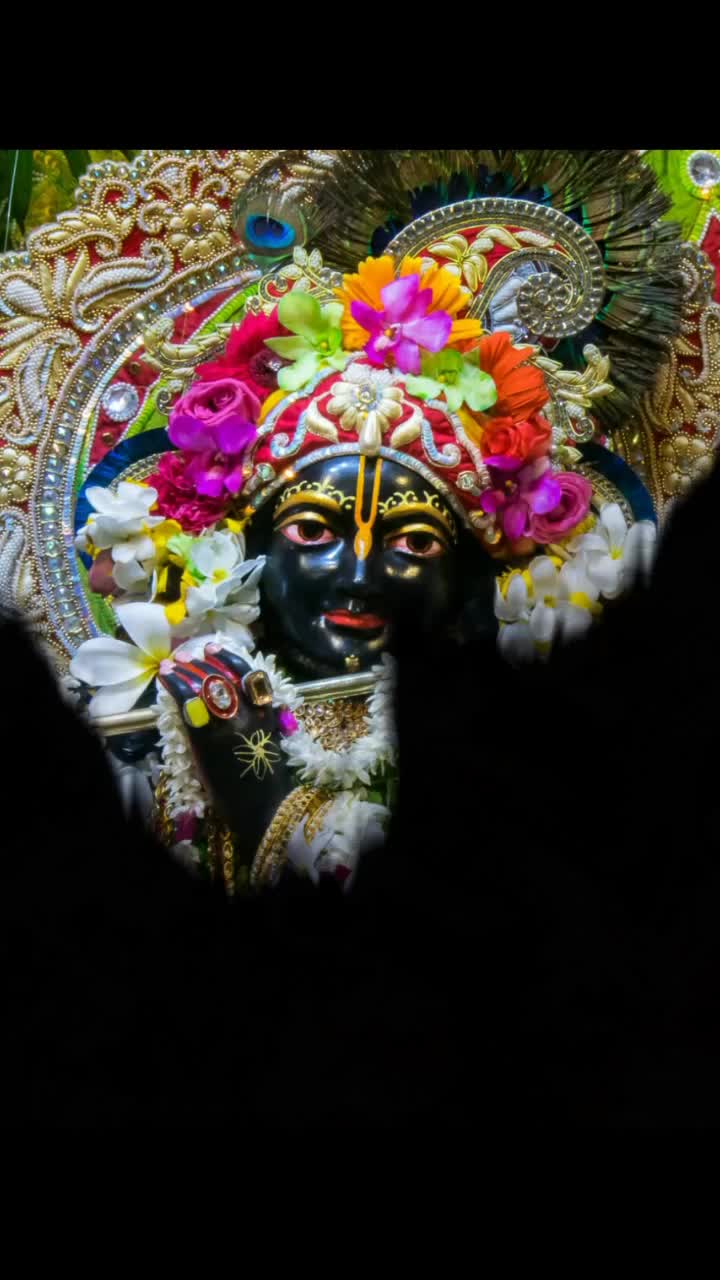 @Miss Liza