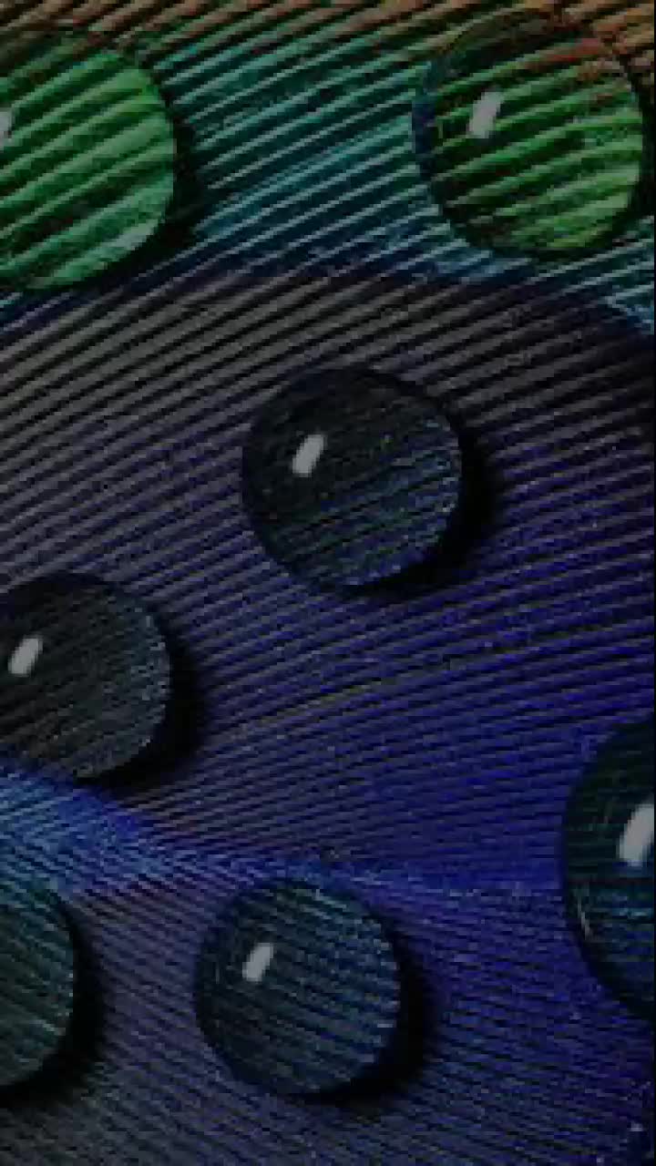 @🌟Aαүυsнмααη🌟