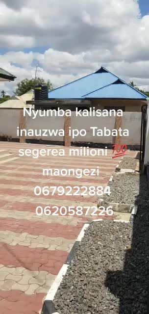 @Dalali mpemba