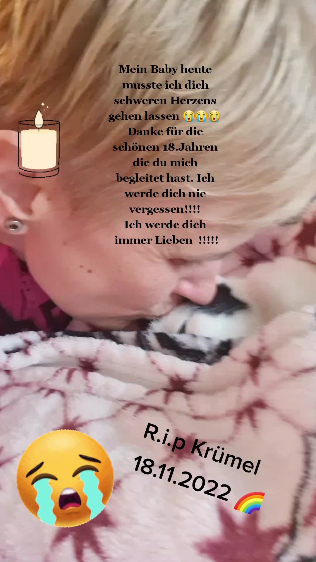 @❤️Janet,Teddy und Blümchen❤️