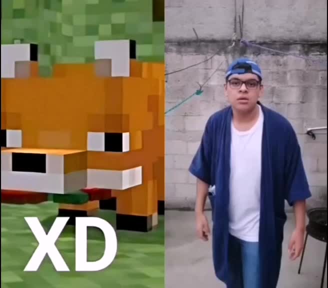 @Zorrito xd 🦊