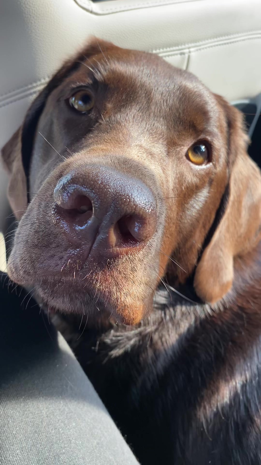 @🐾 𝑻𝒆𝒅𝒅𝒚🐾