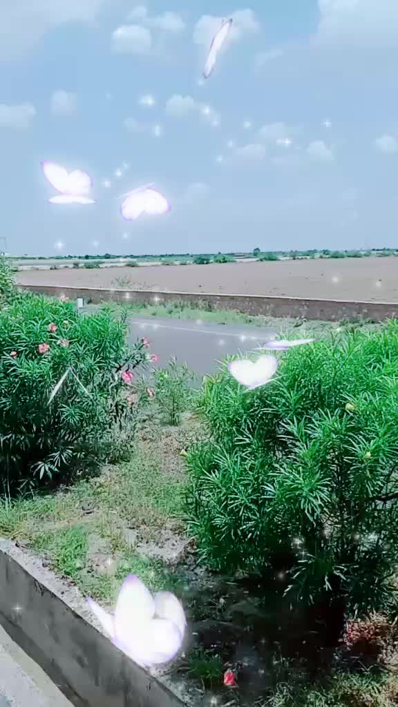 @D_Adhikari_99