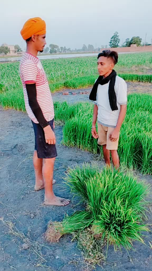 @Raman