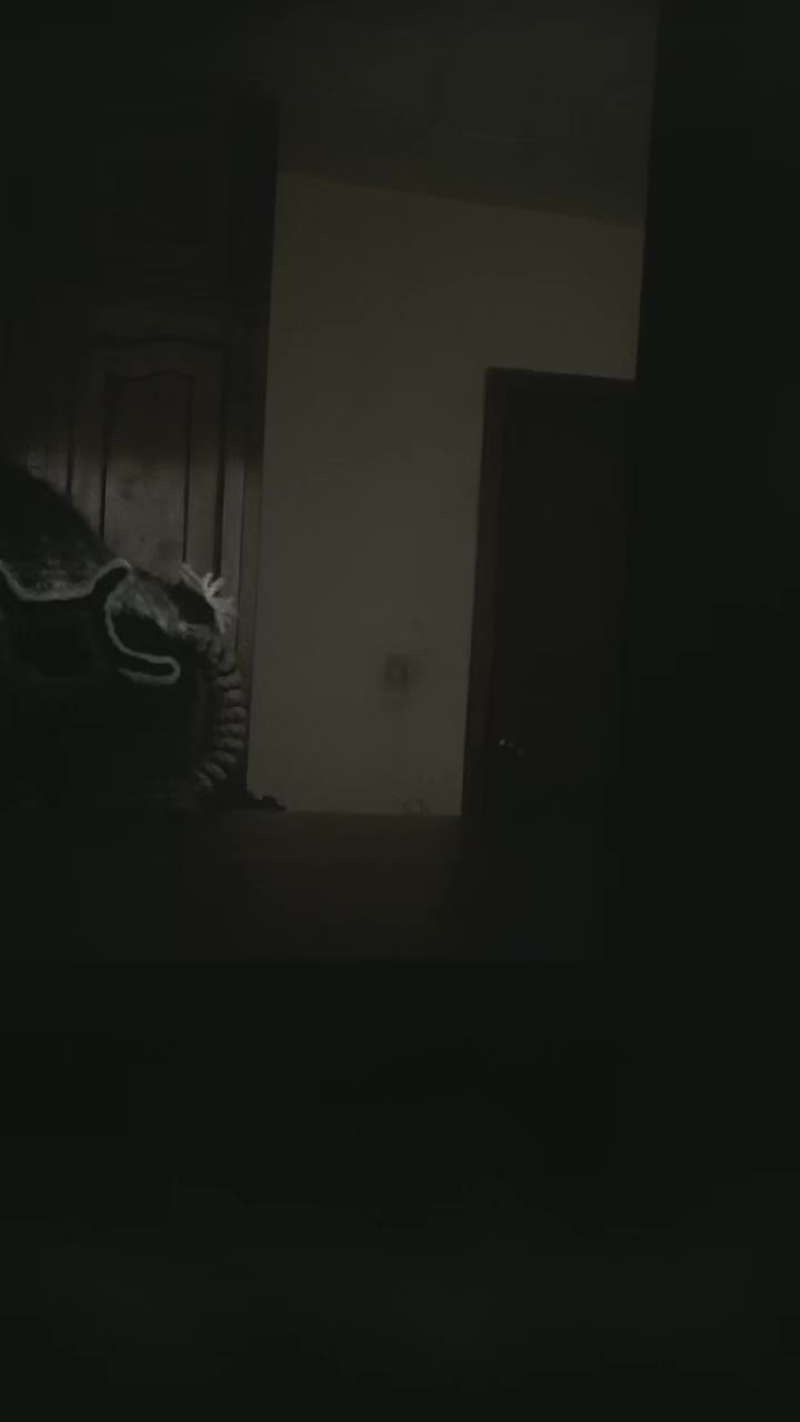 @AYLLU