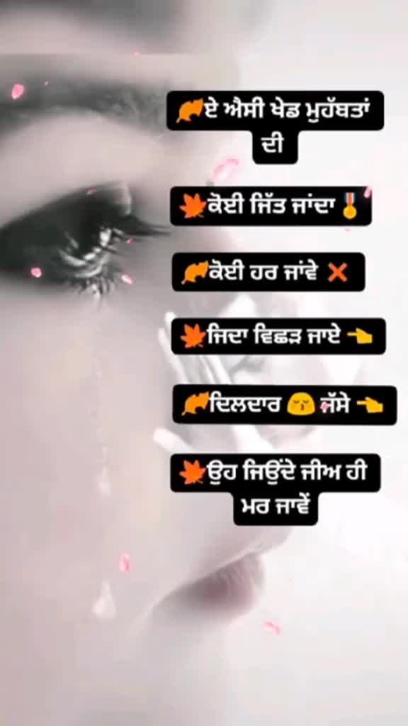 @🌹sai ji De diwane🌹