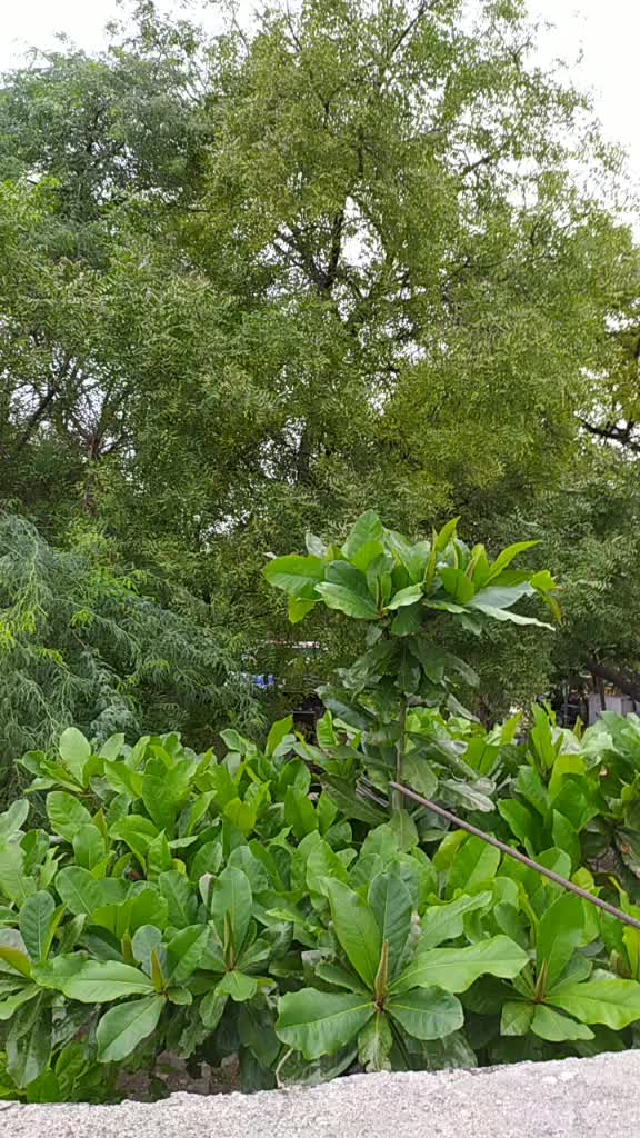 @Sagar Deshmane
