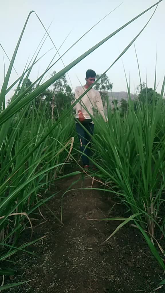 @Shambhu khabale