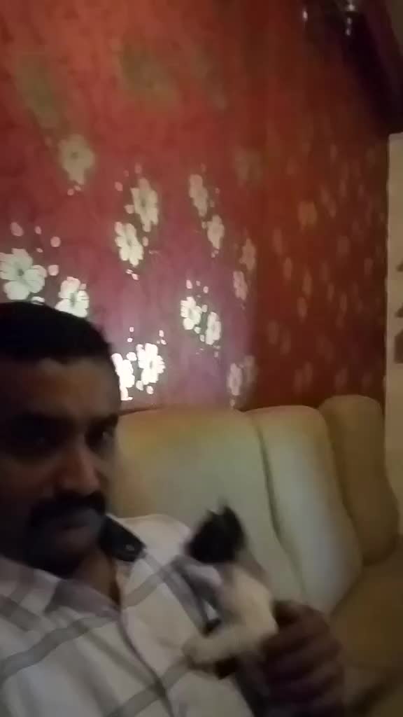 @KL 35  പാലാക്കാരൻ