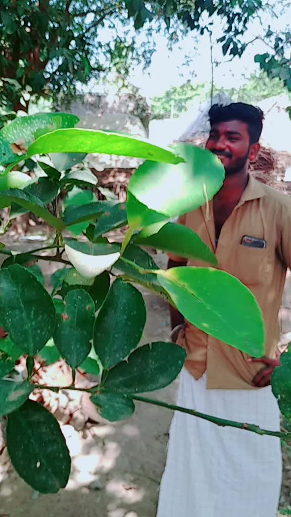 @ss sundar