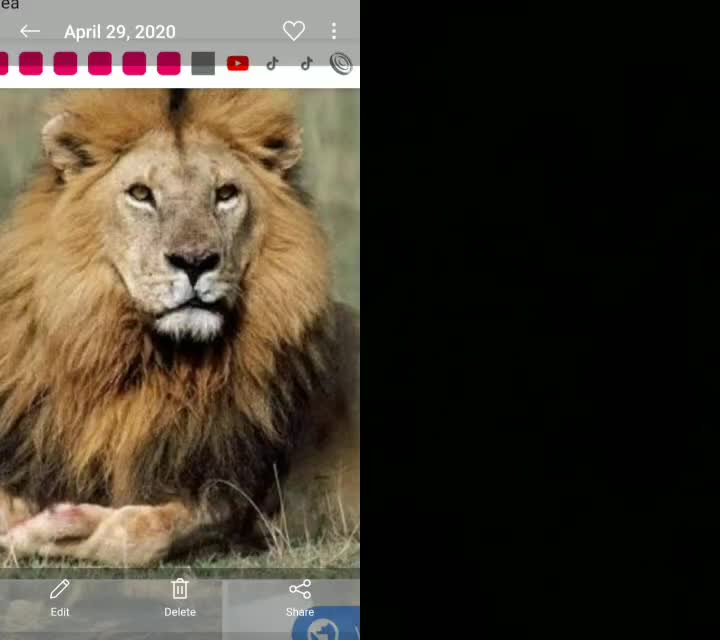 @sarfarazahmad