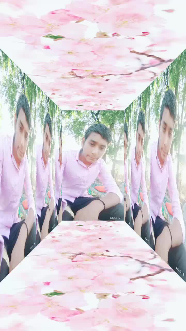 @mr. k.v prajapati