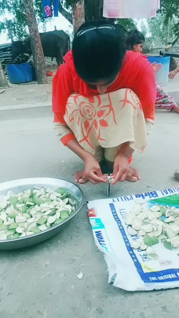@bhai bahan