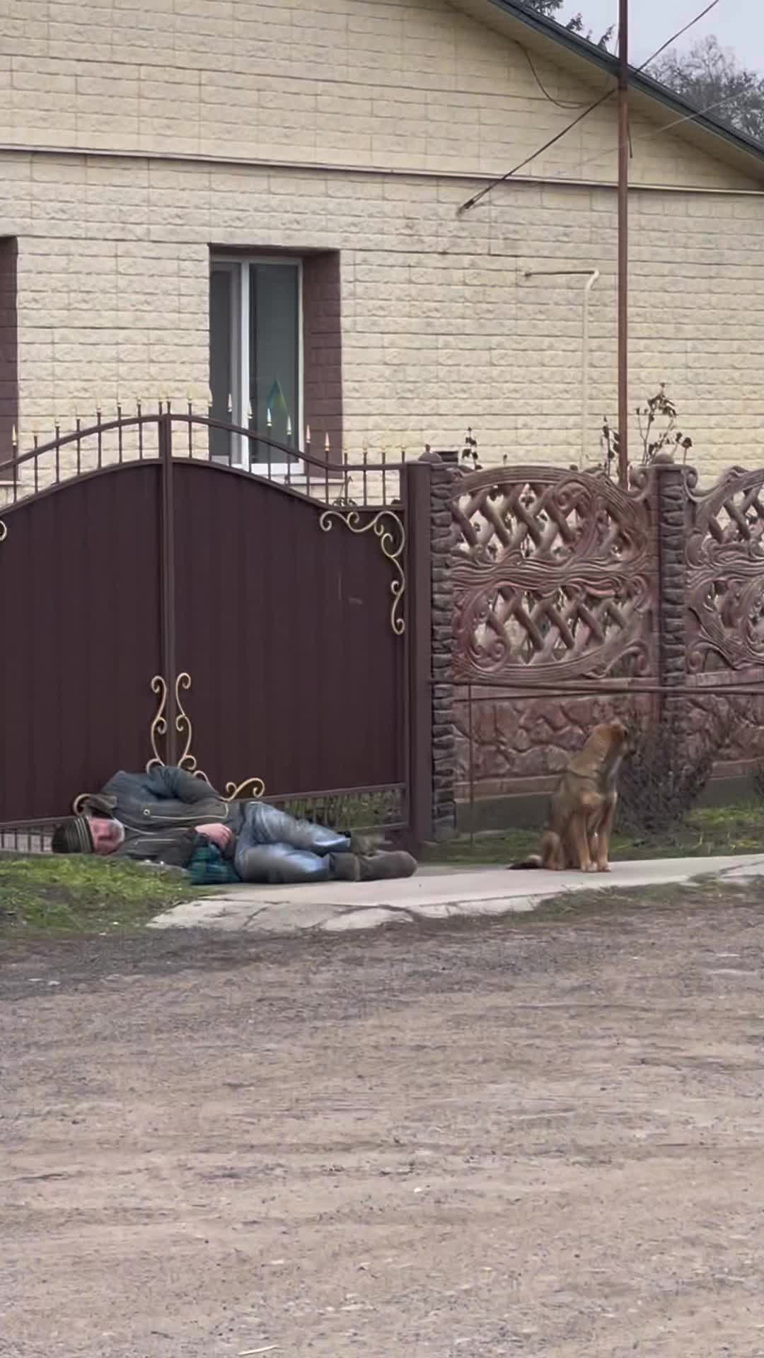 @Николай